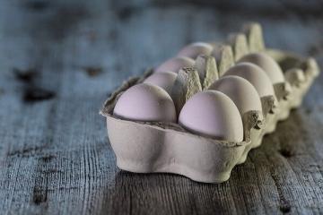Teadlased on öelnud, miks ei tohiks süüa palju mune