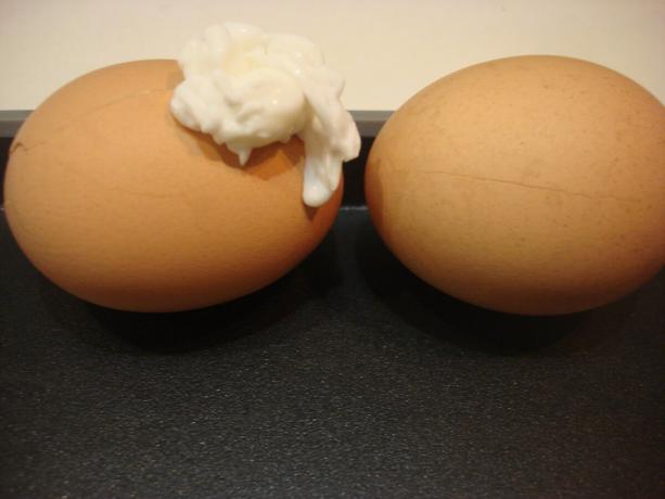 Pilt võetud autor (vasak lihtsalt krakitud muna, muna õigus määritud sidruni)
