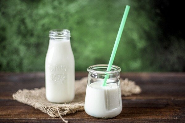 Kääritatud piimatooted - probiootilised tarnijad (Foto: Pixabay.com)