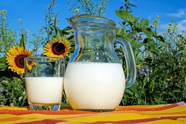 Parem osta piima eramajanditest (Foto: pixabay.com)