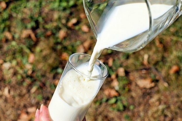 Kuid kui pärast klaasi piima tunnete maos või soolestikus ebameeldivaid aistinguid, on parem sellest keelduda fermenteeritud piimatoodete kasuks (Foto: Pixabay.com)