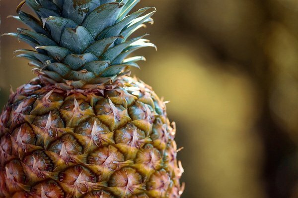Söö paar ananassi viilu ja kaal sulab. (Foto: Pixabay.com)