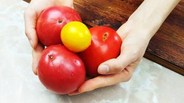 Kuidas hoian tomateid terve talve ilma sügavkülmata, et need maitselt ja välimuselt värsked oleksid