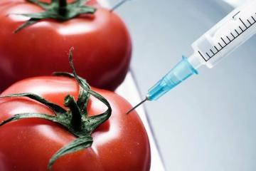 10 GMO toitu, mida me sööme ja isegi ei tea