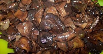 Kuidas õigesti ja maitsev marineeritud seened svinushki?